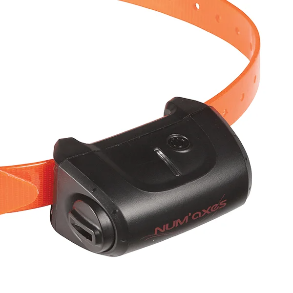 Εξτρα κολάρο Num’axes Canicom 5 – Πορτοκαλί - Image 2